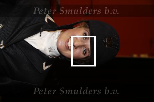 Amsterdam 25 januari 2019
Britt Dekker geeft demonstratie met haar paard op Jumping Amsterdam.