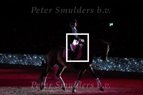Amsterdam 25 januari 2019
Britt Dekker geeft demonstratie met haar paard op Jumping Amsterdam.