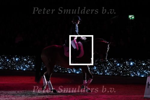 Amsterdam 25 januari 2019
Britt Dekker geeft demonstratie met haar paard op Jumping Amsterdam.