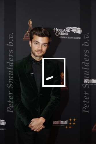 Amsterdam 23 januari 2019
Rode loper musical awards in de RAI. Buddy Vedder