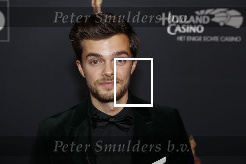 Amsterdam 23 januari 2019
Rode loper musical awards in de RAI. Buddy Vedder
