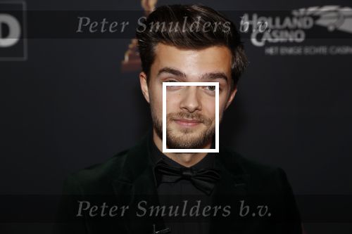 Amsterdam 23 januari 2019
Rode loper musical awards in de RAI. Buddy Vedder