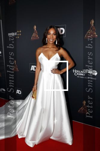 Amsterdam 23 januari 2019
Rode loper musical awards in de RAI. carolina Dijkhuizen