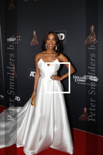 Amsterdam 23 januari 2019
Rode loper musical awards in de RAI. carolina Dijkhuizen