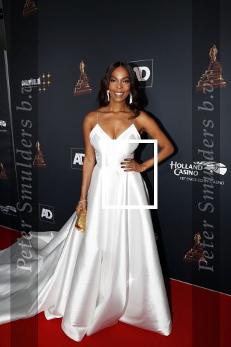 Amsterdam 23 januari 2019
Rode loper musical awards in de RAI. carolina Dijkhuizen
