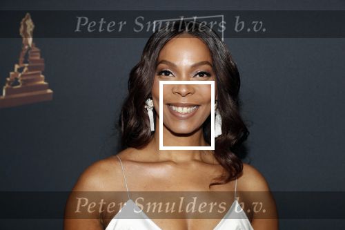 Amsterdam 23 januari 2019
Rode loper musical awards in de RAI. carolina Dijkhuizen
