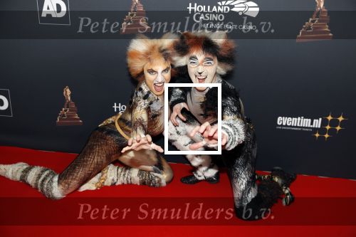 Amsterdam 23 januari 2019
Rode loper musical awards in de RAI.