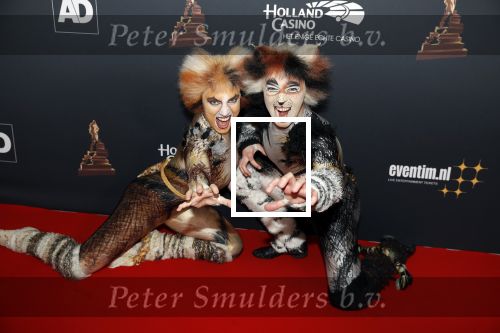 Amsterdam 23 januari 2019
Rode loper musical awards in de RAI.