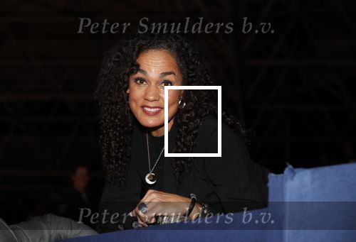 Amsterdam 25 januari 2019
Chimene v Oosterhout bij Jumping Amsterdam.
