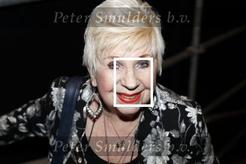 Hilversum 3 december 2018
Tineke de Nooij krijgt ouvre award bij beeld en geluid. Conny v Bergen