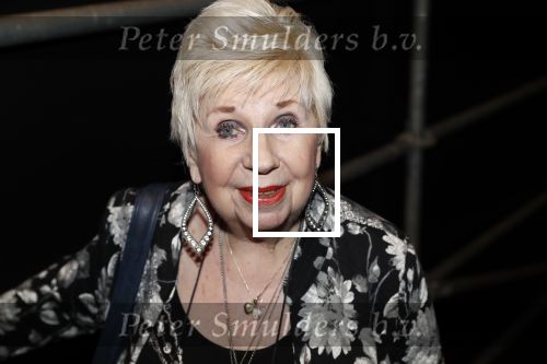Hilversum 3 december 2018
Tineke de Nooij krijgt ouvre award bij beeld en geluid. Conny v Bergen
