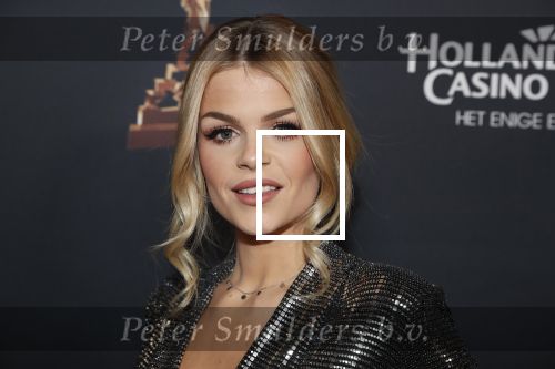Amsterdam 23 januari 2019
Rode loper musical awards in de RAI. Davina Michelle