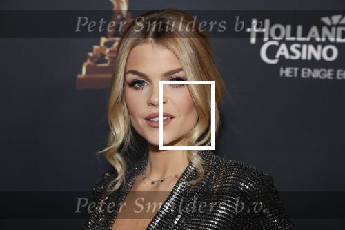 Amsterdam 23 januari 2019
Rode loper musical awards in de RAI. Davina Michelle
