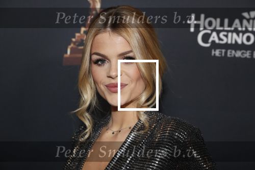 Amsterdam 23 januari 2019
Rode loper musical awards in de RAI. Davina Michelle