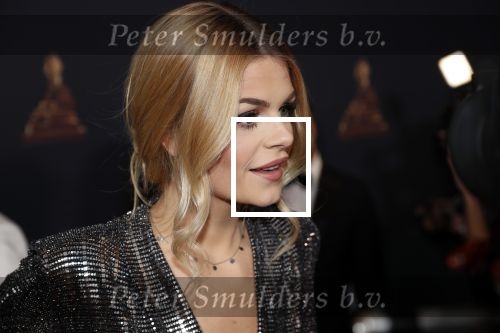 Amsterdam 23 januari 2019
Rode loper musical awards in de RAI. Davina Michelle