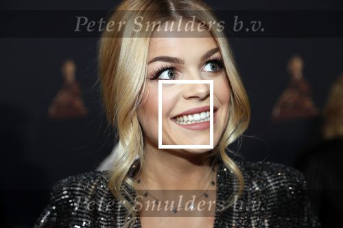Amsterdam 23 januari 2019
Rode loper musical awards in de RAI. Davina Michelle