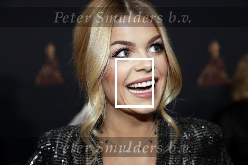 Amsterdam 23 januari 2019
Rode loper musical awards in de RAI. Davina Michelle