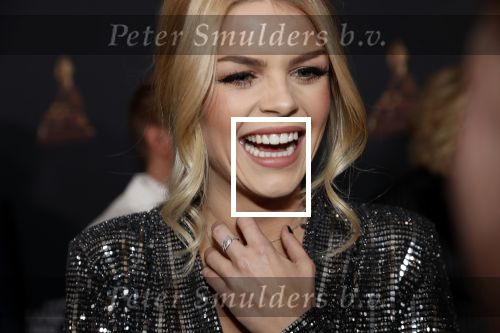Amsterdam 23 januari 2019
Rode loper musical awards in de RAI. Davina Michelle