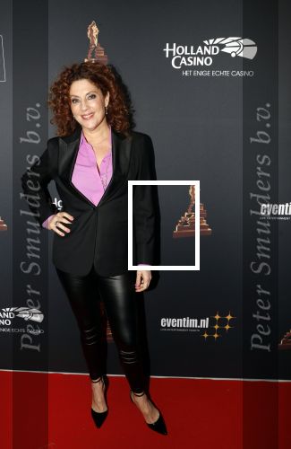 Amsterdam 23 januari 2019
Rode loper musical awards in de RAI. Esther Maas