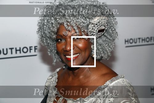 Amsterdam 18 januari 2019
Premiere Nationaal ballet in de stopera. Gerda Havertong met haar man