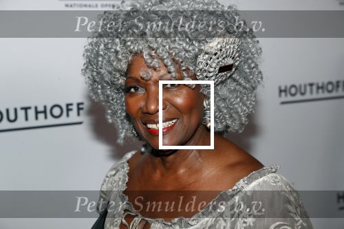 Amsterdam 18 januari 2019
Premiere Nationaal ballet in de stopera. Gerda Havertong met haar man