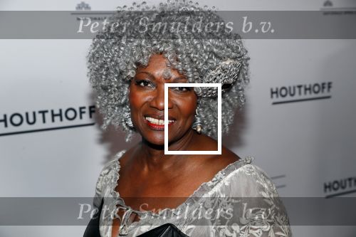 Amsterdam 18 januari 2019
Premiere Nationaal ballet in de stopera. Gerda Havertong met haar man