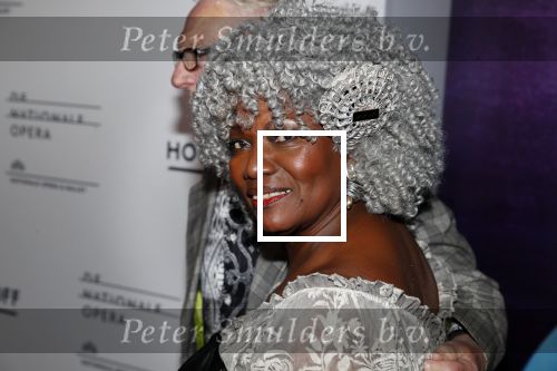 Amsterdam 18 januari 2019
Premiere Nationaal ballet in de stopera. Gerda Havertong met haar man
