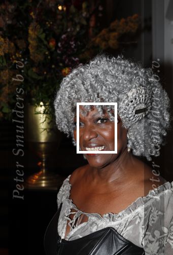 Amsterdam 18 januari 2019
Premiere Nationaal ballet in de stopera. Gerda Havertong met haar man