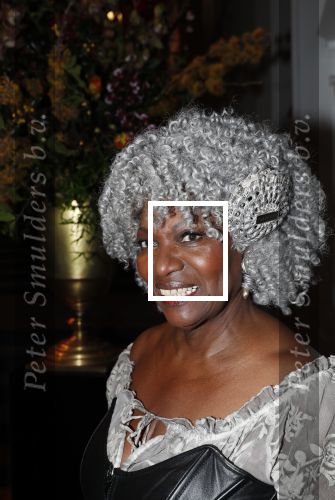 Amsterdam 18 januari 2019
Premiere Nationaal ballet in de stopera. Gerda Havertong met haar man
