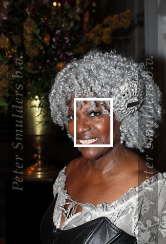 Amsterdam 18 januari 2019
Premiere Nationaal ballet in de stopera. Gerda Havertong met haar man