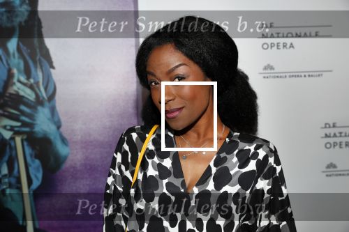 Amsterdam 18 januari 2019
Premiere Nationaal ballet in de stopera. Giovanca Ostiana met â€¦