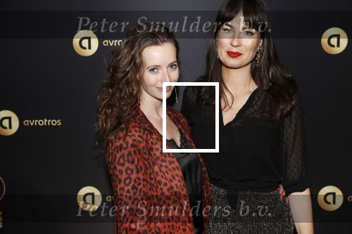 Hilversum 31 januari 2019
Uitreiking van de gouden radioring in theater Gooiland.