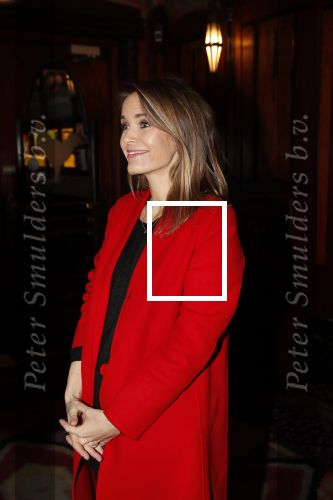 Amsterdam 22 januari 2019
Premier Green Book in Tuschinski. Hanna Verboom 4 maanden zwanger