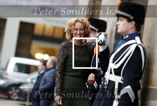 Amsterdam 15 januari 2019
Niieuwjaarsreceptie Koning Willem Alexander en koningin Maxima in paleis op de dam. Herna Verhagen