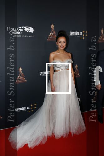 Amsterdam 23 januari 2019
Rode loper musical awards in de RAI. Holly Brood met Soy Kroon