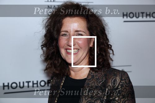 Amsterdam 18 januari 2019
Premiere Nationaal ballet in de stopera. 
Ingrid v Engelshoven en partner