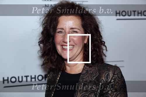 Amsterdam 18 januari 2019
Premiere Nationaal ballet in de stopera. 
Ingrid v Engelshoven en partner