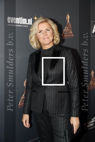Amsterdam 23 januari 2019
Rode loper musical awards in de RAI. Irene Moors kwam samen met Ellie Lust