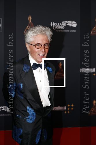 Amsterdam 23 januari 2019
Rode loper musical awards in de RAI. Jacques d Ancona