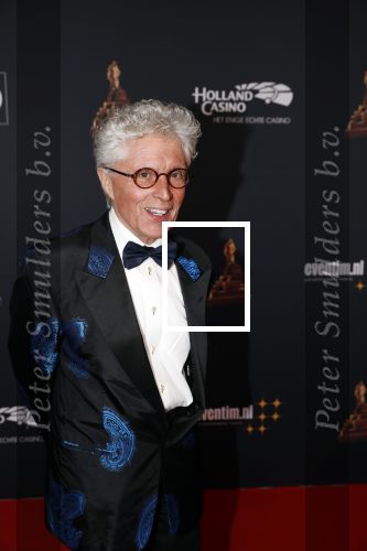 Amsterdam 23 januari 2019
Rode loper musical awards in de RAI. Jacques d Ancona