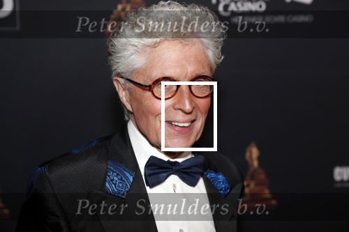 Amsterdam 23 januari 2019
Rode loper musical awards in de RAI. Jacques d Ancona