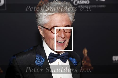 Amsterdam 23 januari 2019
Rode loper musical awards in de RAI. Jacques d Ancona