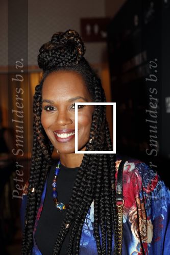 Amsterdam 24 januari 2019
25 jaar Talkies in het Okura Hotel. Jasmine Sendar