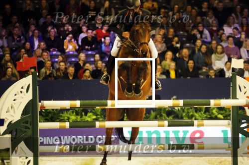 Amsterdam 25januari 2019
Jumping Amsterdam in de RAI. Jeroen Dubbelman