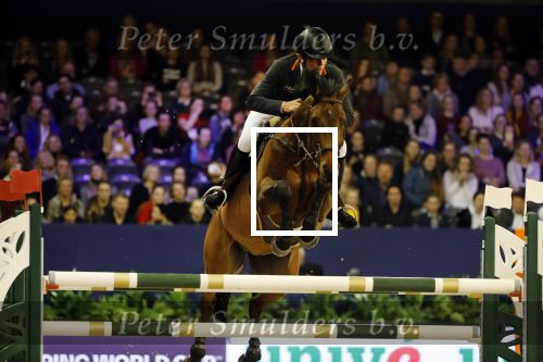 Amsterdam 25januari 2019
Jumping Amsterdam in de RAI. Jeroen Dubbelman