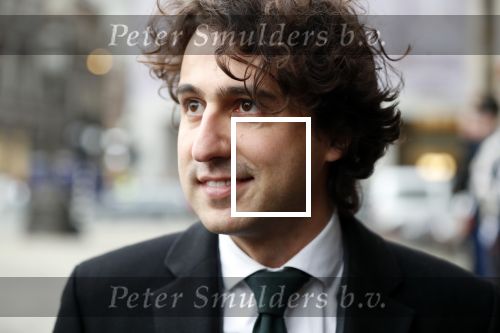 Amsterdam 15 januari 2019
Niieuwjaarsreceptie Koning Willem Alexander en koningin Maxima in paleis op de dam. Jesse Klaver