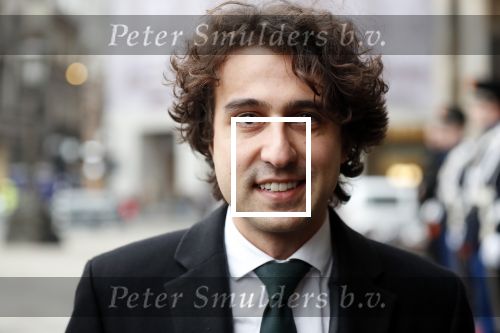 Amsterdam 15 januari 2019
Niieuwjaarsreceptie Koning Willem Alexander en koningin Maxima in paleis op de dam. Jesse Klaver