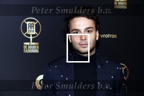 Hilversum 31 januari 2019
Uitreiking van de gouden radioring in theater Gooiland. Joost Swinkels