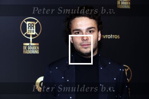Hilversum 31 januari 2019
Uitreiking van de gouden radioring in theater Gooiland. Joost Swinkels