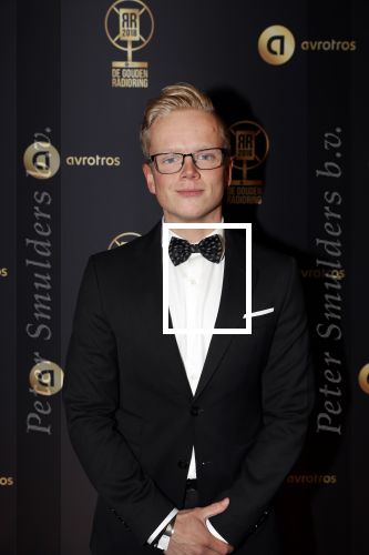Hilversum 31 januari 2019
Uitreiking van de gouden radioring in theater Gooiland.
Jordi Warners
